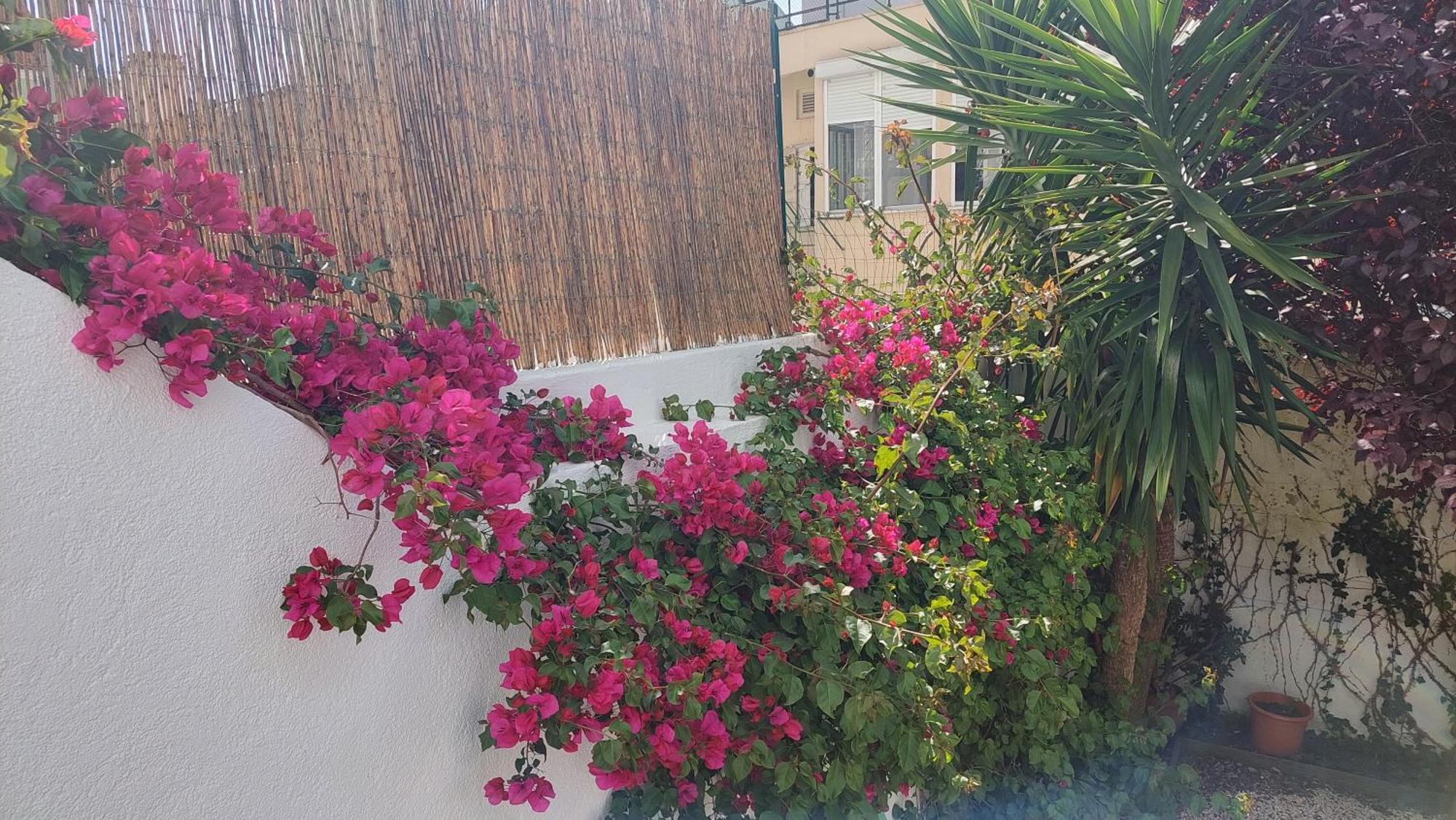 Apartment With Private Garden - Central Location Lisbona Esterno foto